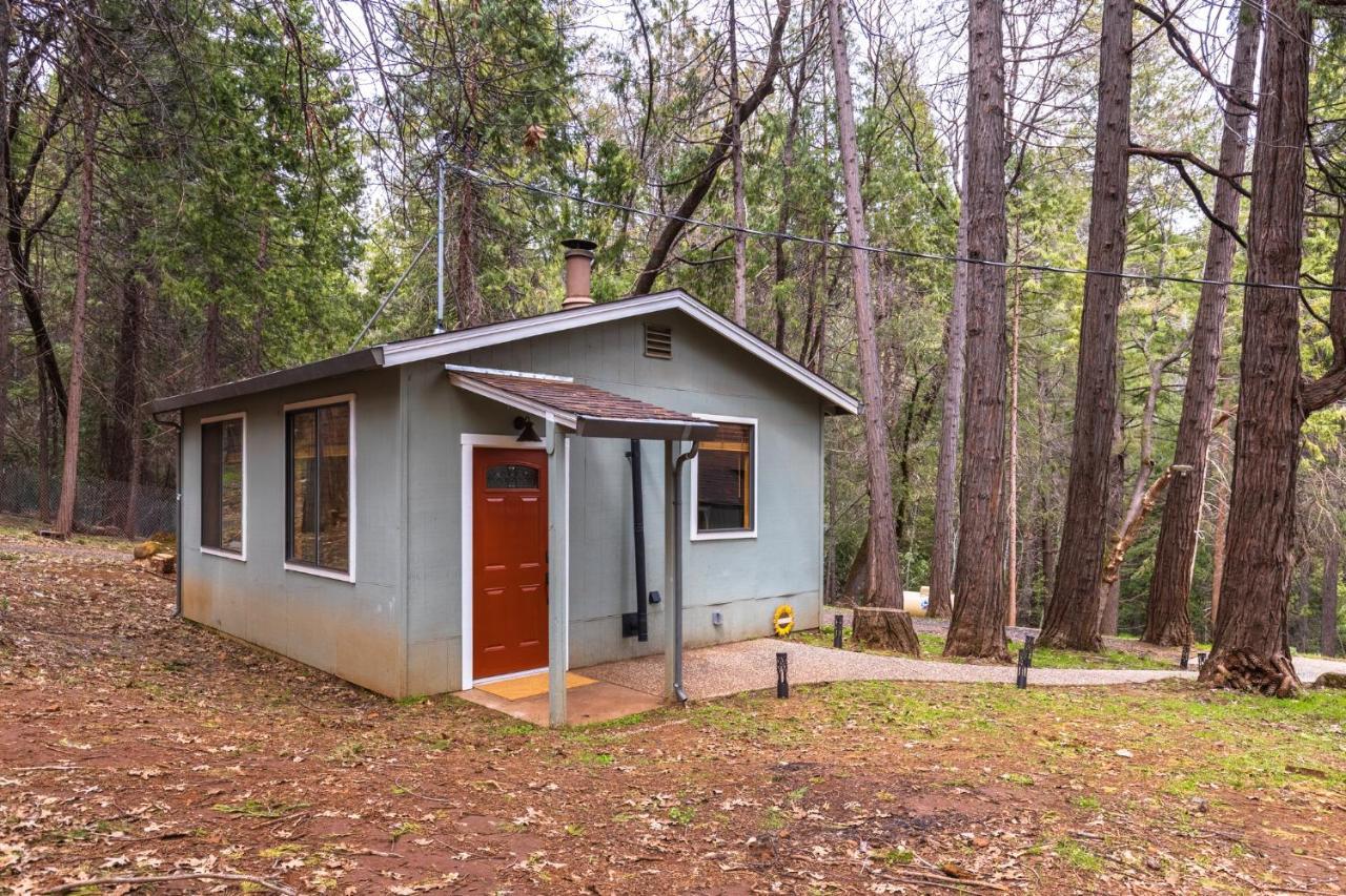 ホテル Little House In The Big Woods Forest Ranch エクステリア 写真
